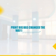 fill-in-the-blank.-print-big-has-changed-the-way