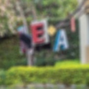 This awe inspiring book teaches the many ways in which behavior